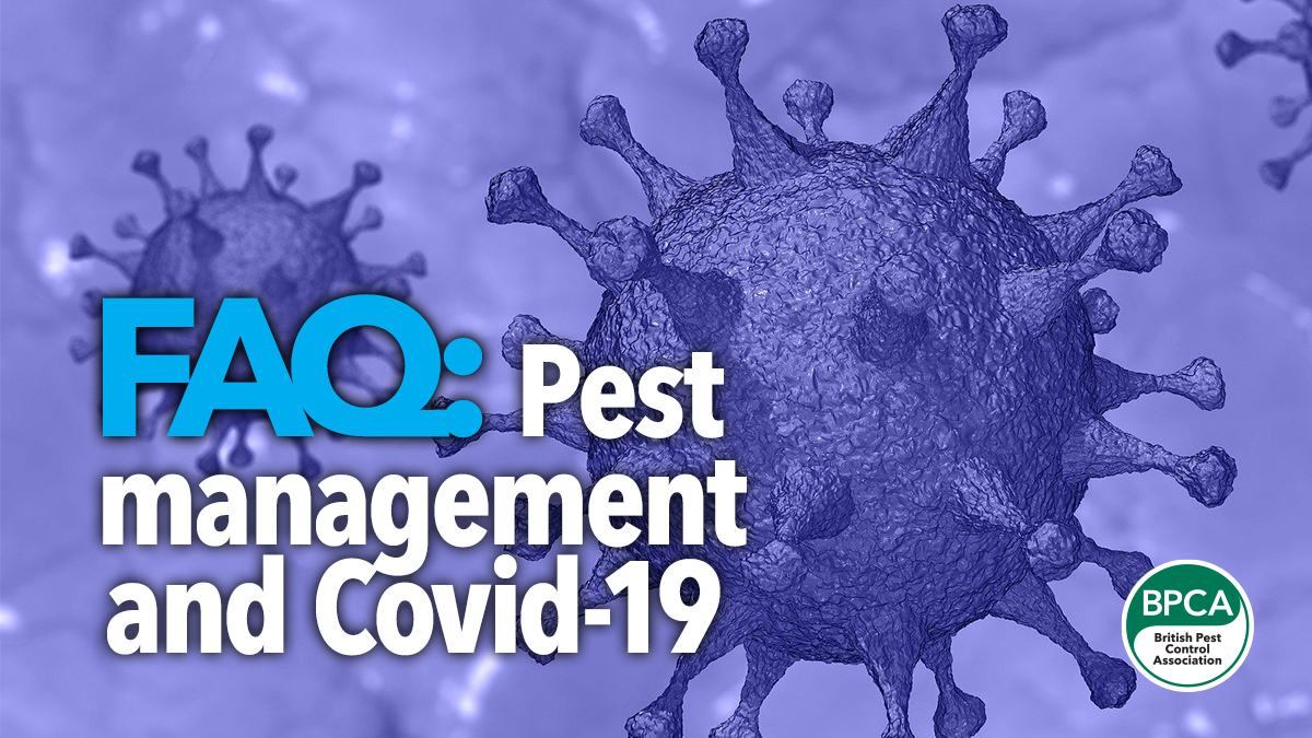 FAQ Pest management and Covid19